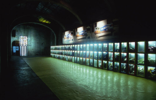 04_large
