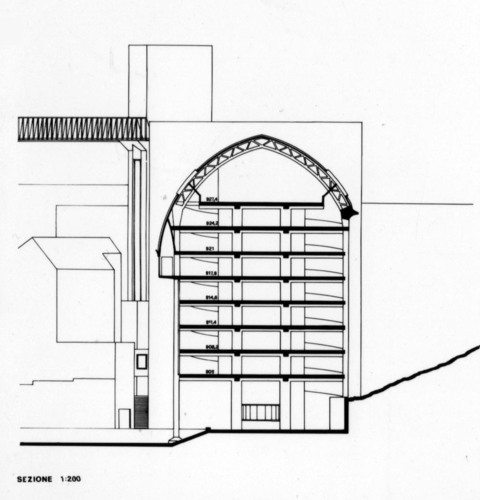 P_pergusa_sezione_1_large