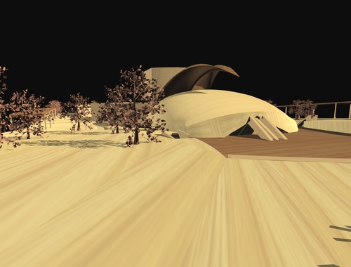 P1_large