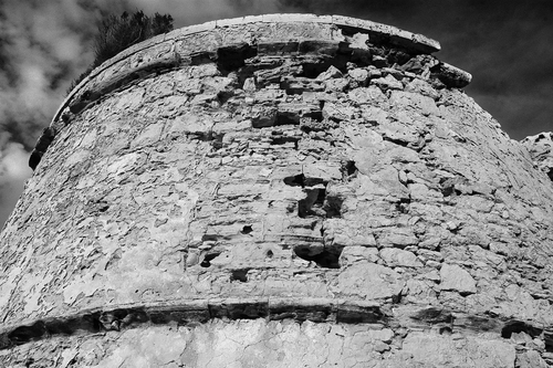 Dsc_0006b_large