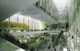 Picture_4_normal