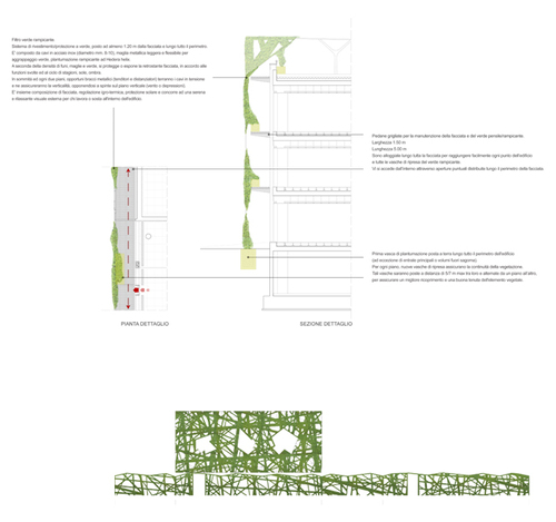 Imm_07_large