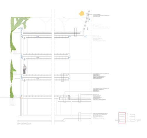 Imm_08_large