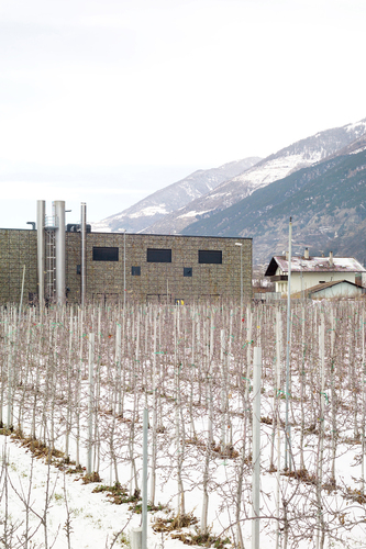 Hkw_schl__14__large