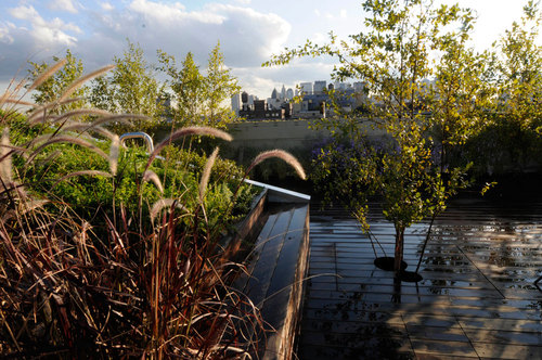 684-broadway-_-balmori-associates-_plantings-2_large