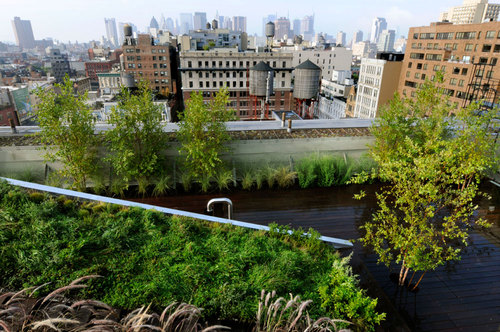 684-broadway-_-balmori-associates-_plantings-3_large