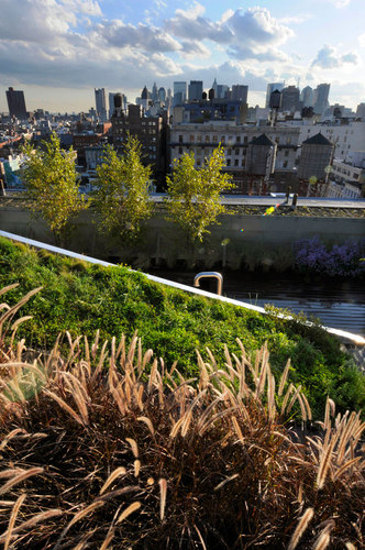 684-broadway-_-balmori-associates-_plantings-4_large