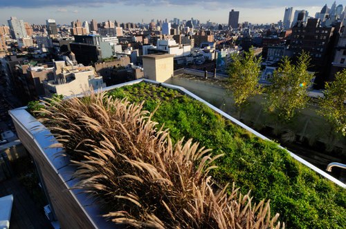 684-broadway-_-balmori-associates-_plantings-5_large