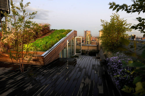 684-broadway-_-balmori-associates-_plantings-7_large