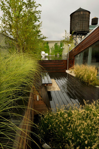 684-broadway-_-balmori-associates-_plantings-with-tank-2_large