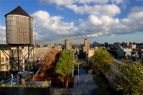 684-broadway-_-balmori-associates-_plantings-with-tank-3_large