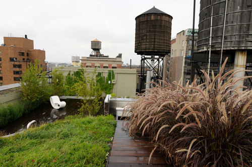 684-broadway-_-balmori-associates-_plantings-with-tank-5_large