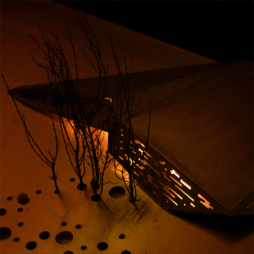 009_large