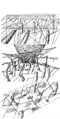 11_large
