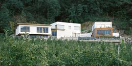 Lochbaur_reneriller02__custom__normal