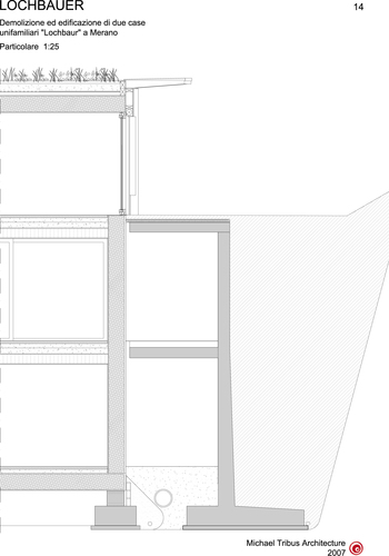 Dettaglio_2_large