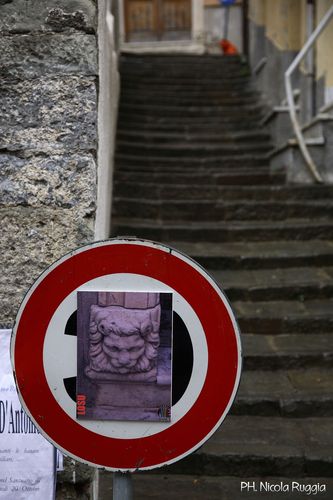 Tn_img_9006_large