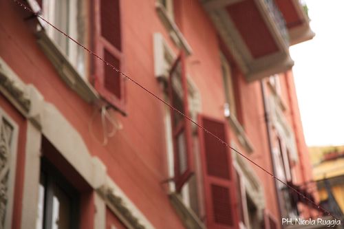 Tn_img_8988_large