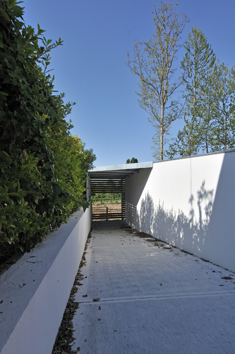 Cor_3465_1_large