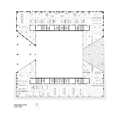Ppp-10-pianta-1_large