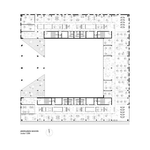 Ppp-10-pianta-2_large