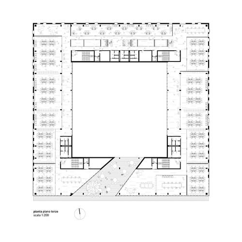 Ppp-10-pianta-3_large