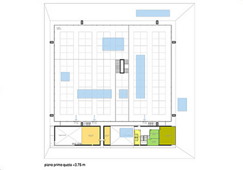 Pianta_4_large