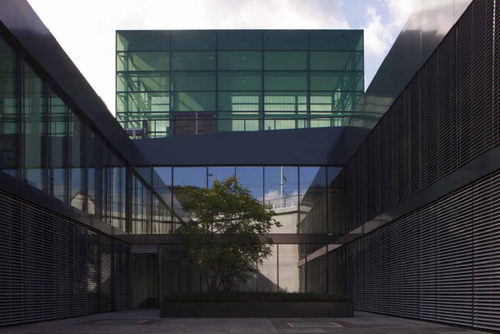 Futuroliestal_corte_interna_chemollo3_large
