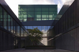 Futuroliestal_corte_interna_chemollo3_normal