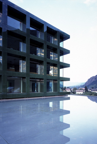 Selimex11_large