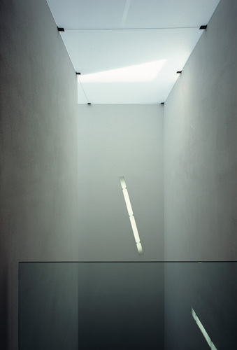 Selimex18_large