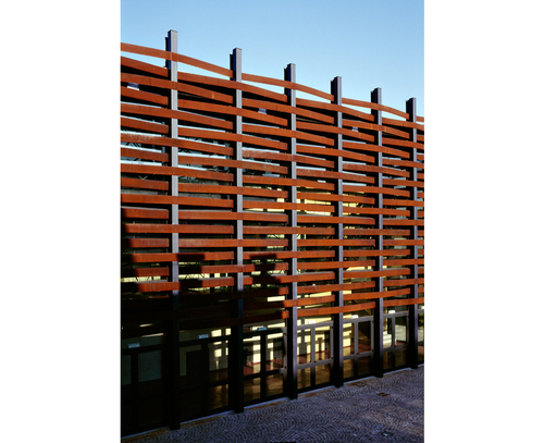 Trino_03_large