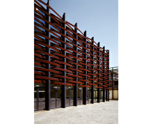 Trino_04_large