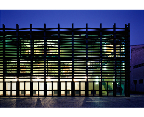 Trino_08_large