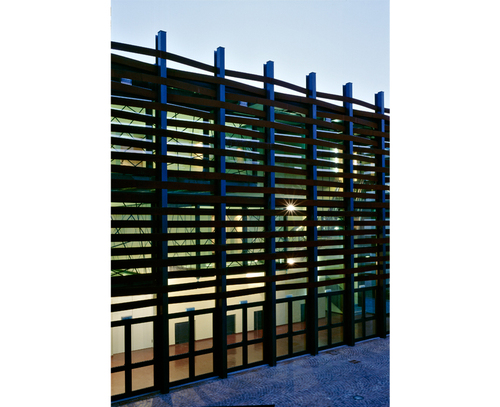 Trino_10_large