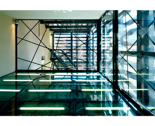 Trino_11_large