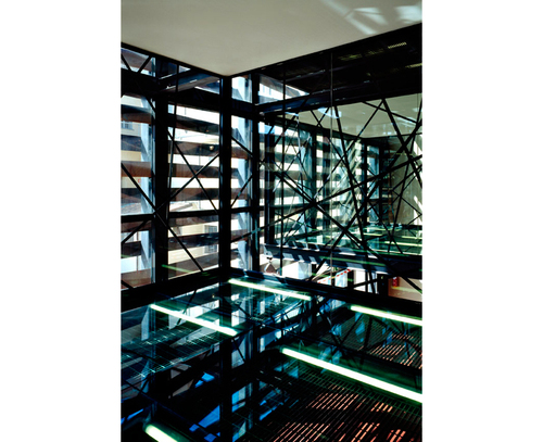 Trino_12_large