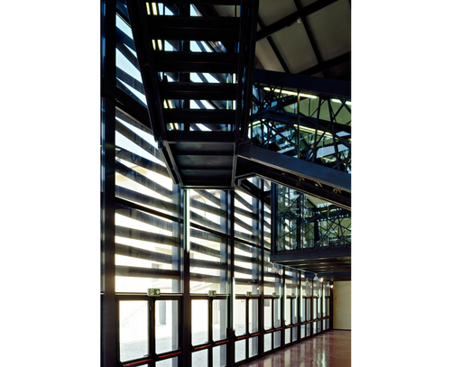 Trino_13_large