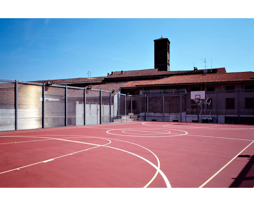 Trino_17_large