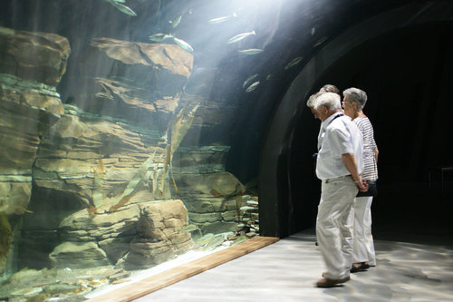 Ozeaneum-stralsund-j-m-schlorke-xz3m1847-tunnelaquarium-tunnel-aquarium_large