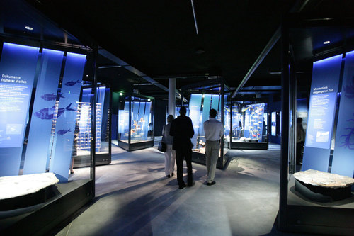 Ozeaneum-stralsund-j-m-schlorke-xz3m7604-ausstellung-weltmeer-exhibition-world-oceans_large