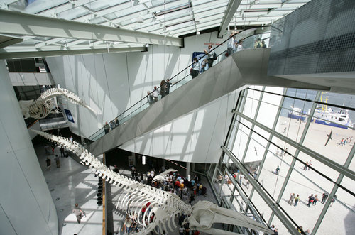 Ozeaneum-stralsund-j-m-schlorke-xz3m8037-foyer_large