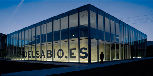 Fundacion-ss-008_large
