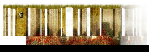 Mpj_ec_09_large