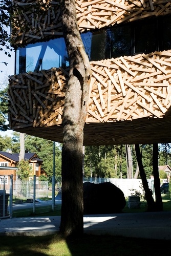Suurupi11_large