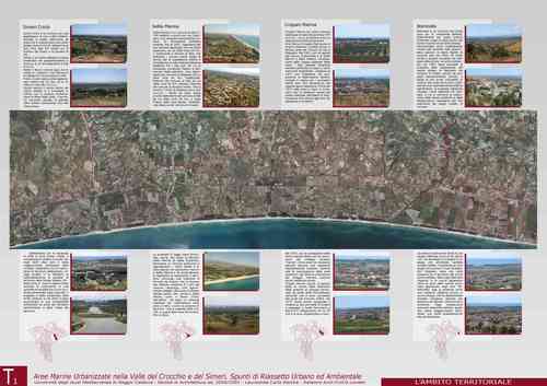 Tav1_copia_large