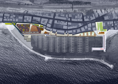 Msv_general_plan_large