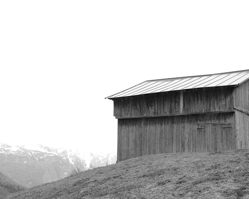 Dsc_1571_large