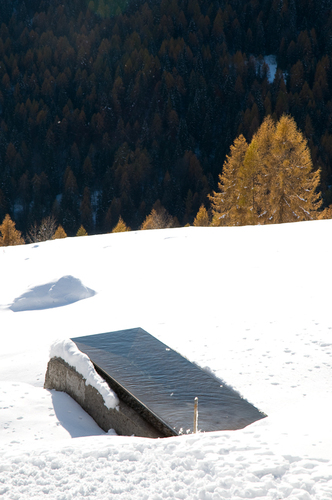 Dsc_7856_large