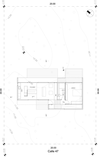 Cher--planta_alta_large